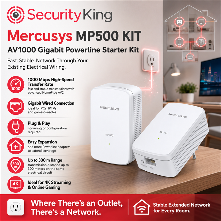 SecurityKing
